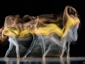 Motion-Sculpture-Danse-frame-.jpg